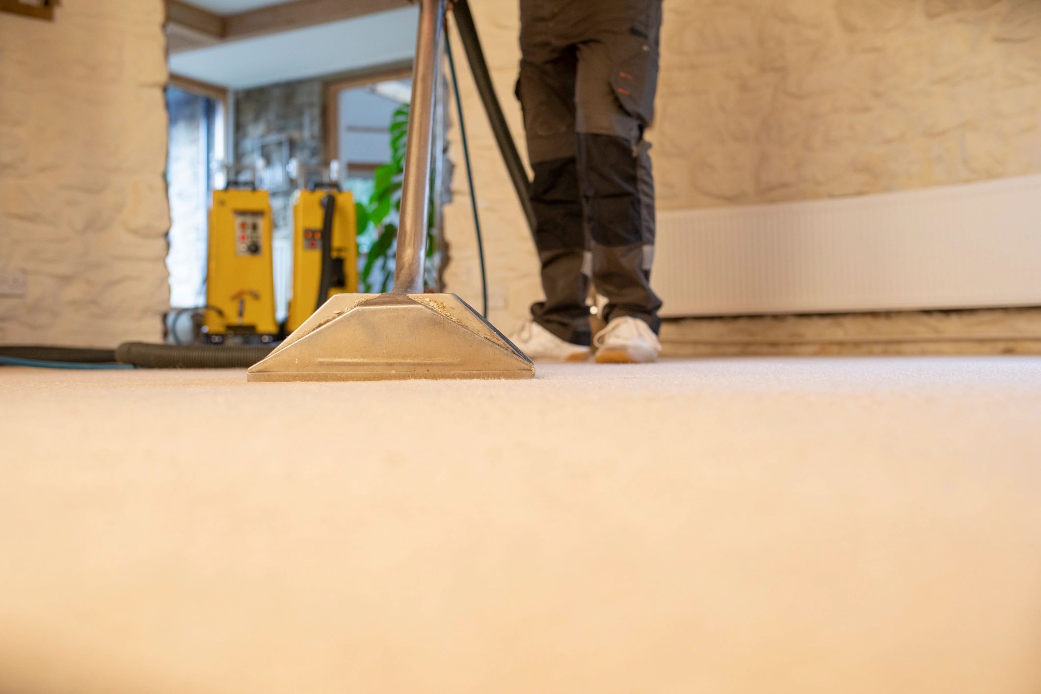 Close-up of professional carpet cleaning on carpet fibers